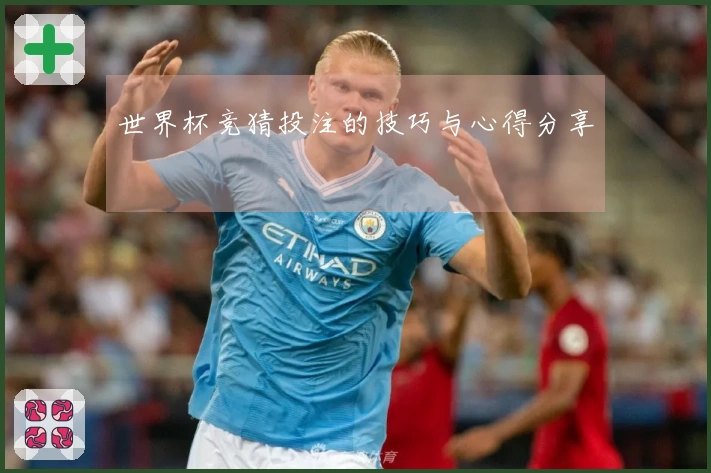 世界杯竞猜投注的技巧与心得分享