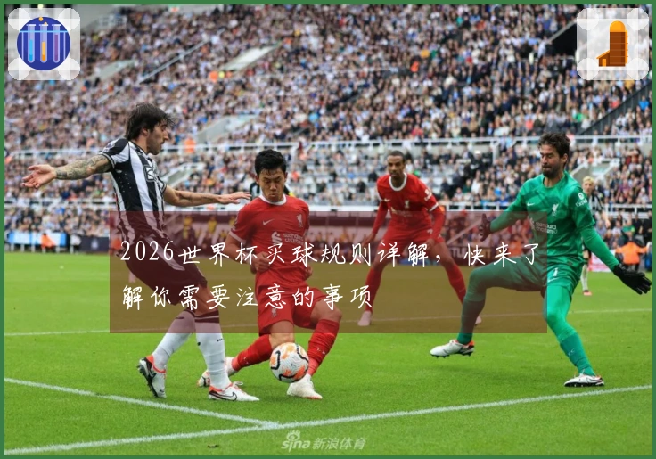 2026世界杯买球规则详解，快来了解你需要注意的事项