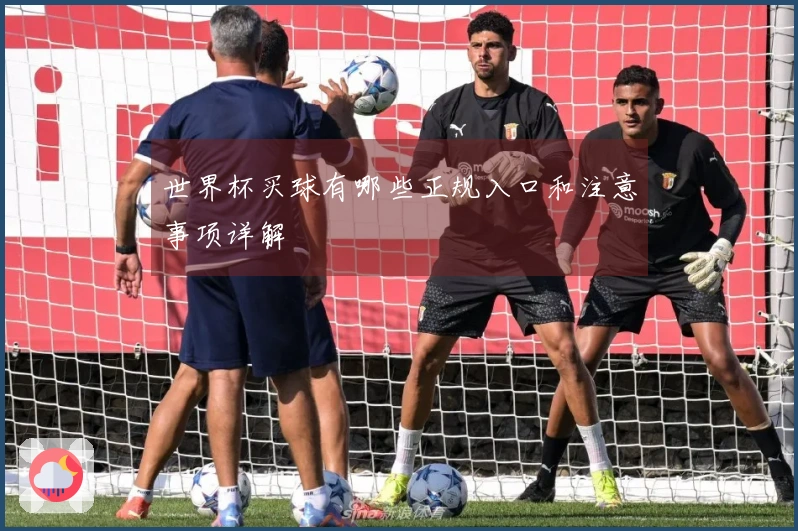 世界杯买球有哪些正规入口和注意事项详解