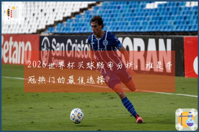 2026世界杯买球赔率分析，谁是夺冠热门的最佳选择