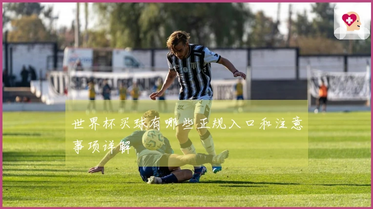 世界杯买球有哪些正规入口和注意事项详解