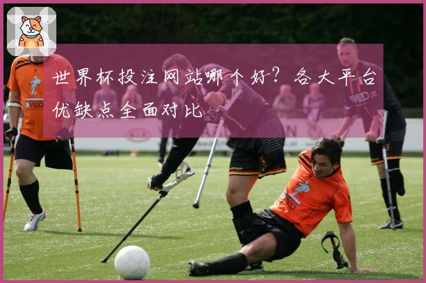 世界杯投注网站哪个好？各大平台优缺点全面对比