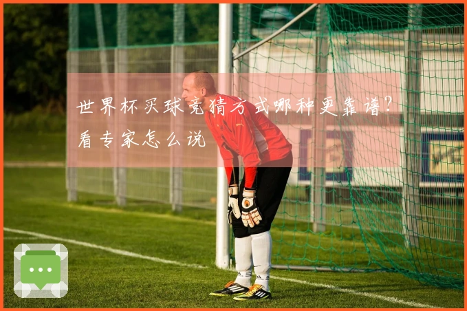 世界杯买球竞猜方式哪种更靠谱？看专家怎么说