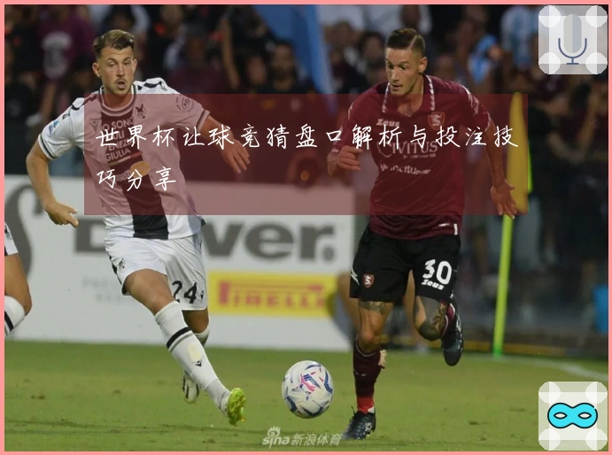 世界杯让球竞猜盘口解析与投注技巧分享