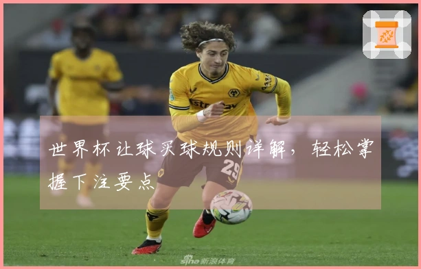 世界杯让球买球规则详解，轻松掌握下注要点