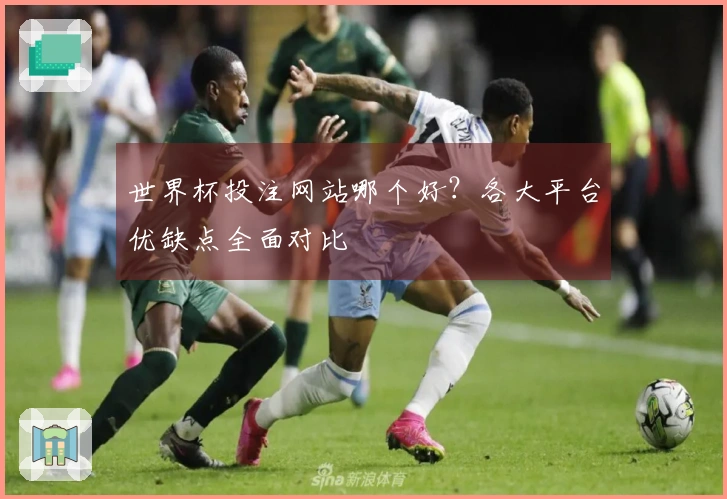 世界杯投注网站哪个好？各大平台优缺点全面对比