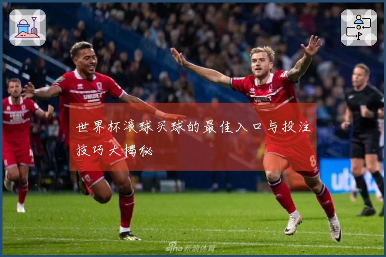 世界杯滚球买球的最佳入口与投注技巧大揭秘