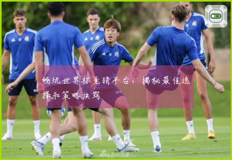 畅玩世界杯竞猜平台,揭秘最佳选择和策略诀窍
